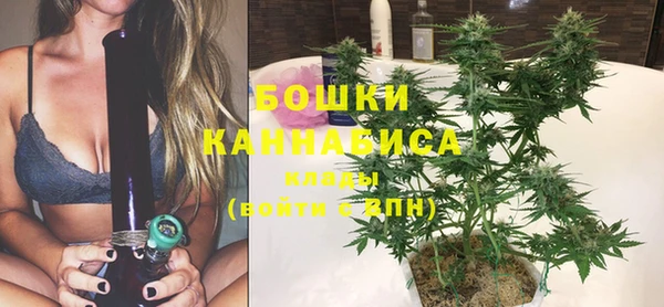 твердый Володарск