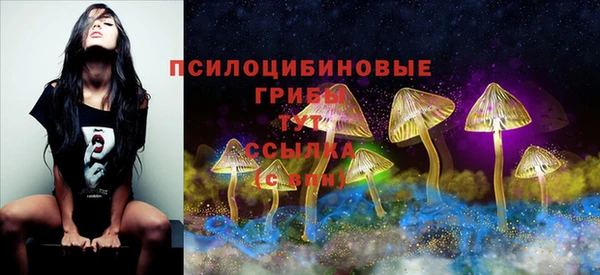 твердый Володарск