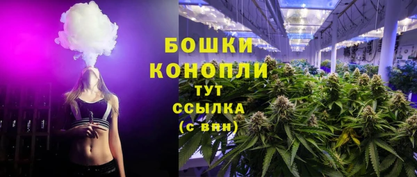 твердый Володарск